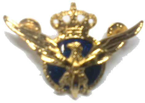 Emblema Aviacion Civil (piloto comercial) dorado